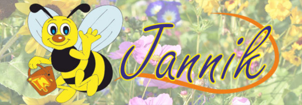 Janniks Bienen