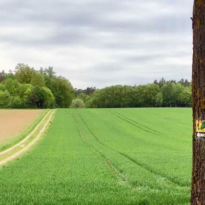 Siebeneichener Rundwanderweg