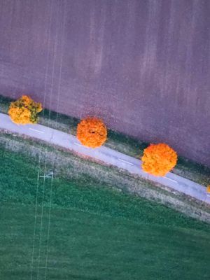 Siebeneichen im Herbst 2022 (Ein Drohnenflug)