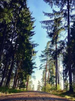 Das Rote Marterl