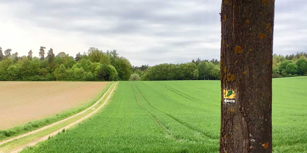 Siebeneichener Rundwanderweg