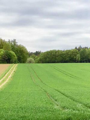 Siebeneichener Rundwanderweg